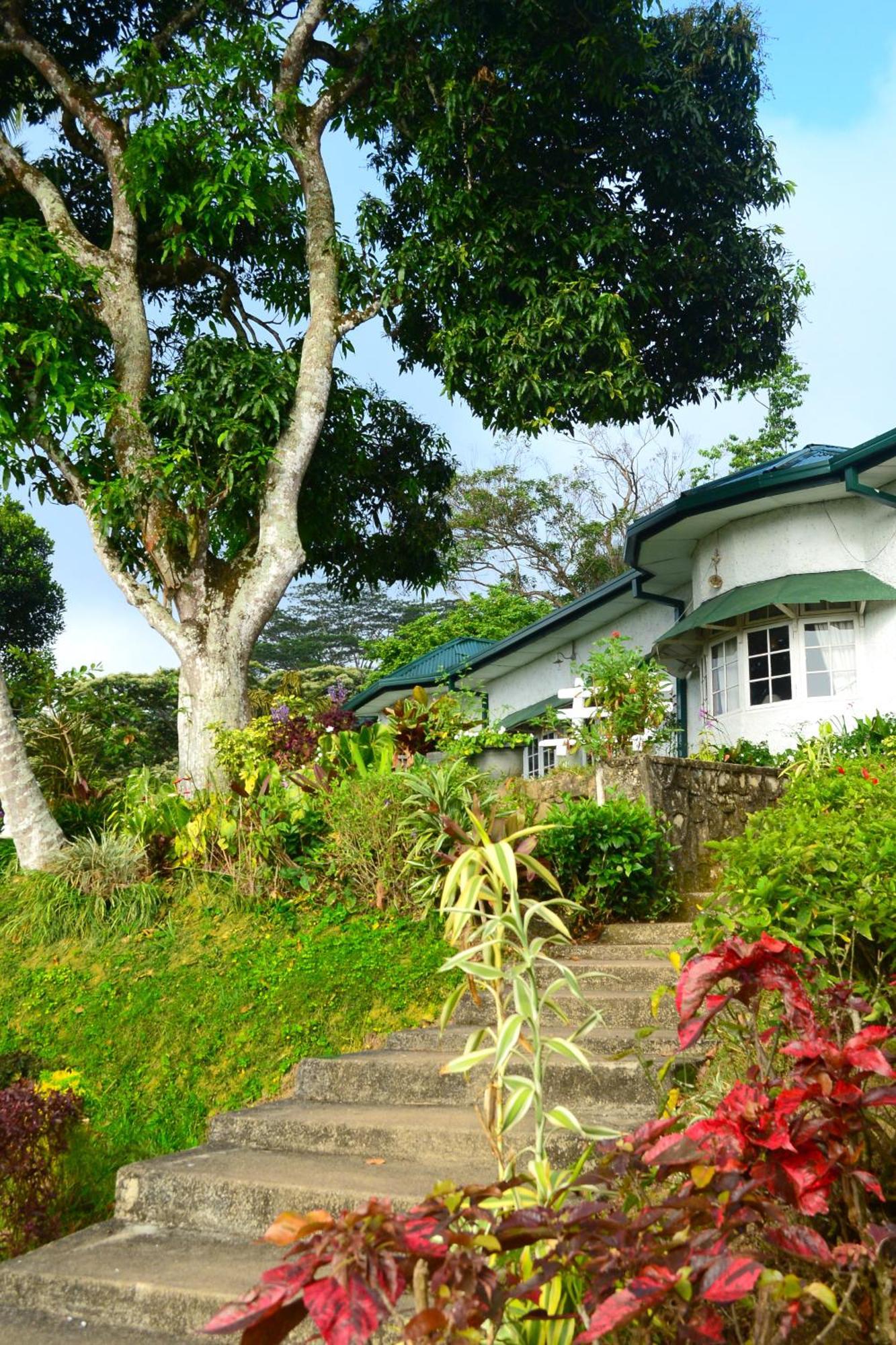 Hatale Tea Estate Bungalow Madulkele Zewnętrze zdjęcie