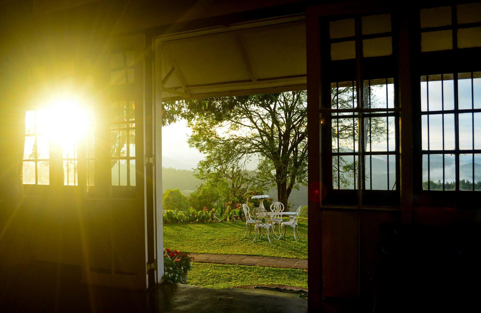 Hatale Tea Estate Bungalow Madulkele Zewnętrze zdjęcie